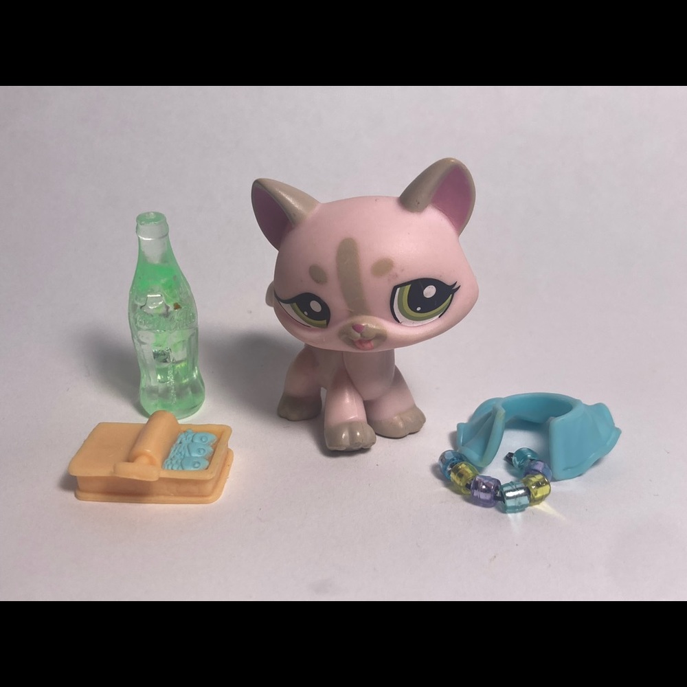 Littlest Pet Shop Pink Siamese Cat #1326 with clothes and other minis